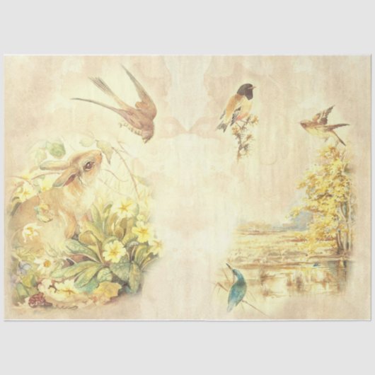 Vintage Vogel Serie Design 8 Tissuepapier (Voorkant)
