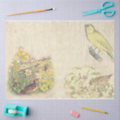 Vintage Vogel Serie Ontwerp 1 Tissuepapier (Craft)