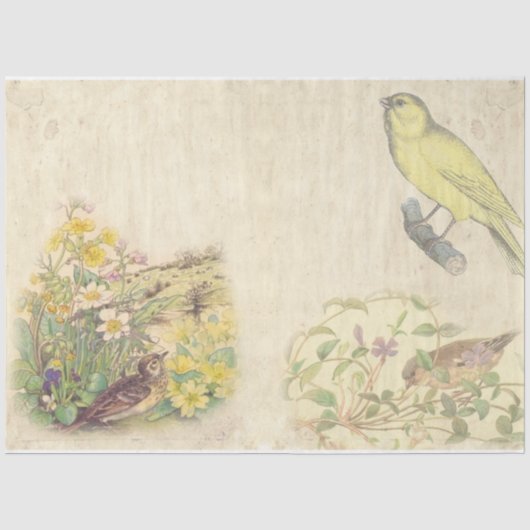 Vintage Vogel Serie Ontwerp 1 Tissuepapier (Voorkant)