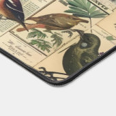 Vintage Vogel Vlinder Krant Botanisch Bureaumat (Hoek)