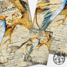 Vintage Vogel Vrouw Meubelen Decoupage 