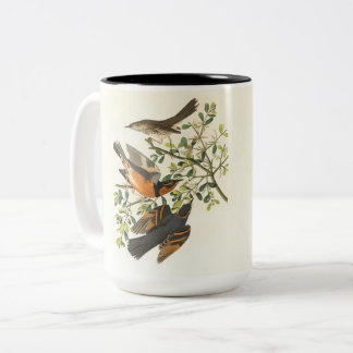 Vintage Vogel & Wilde Bloem Koffiekop | Elegante N Tweekleurige Koffiemok