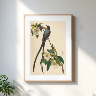 Vintage vogel zwaluwstaart bloemillustratie poster