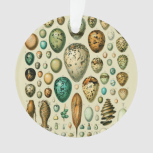 Vintage vogeleieren Franse viskuil eierkunst Ornament