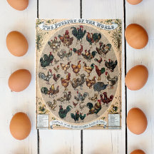 Vintage vogelkuikens en roosters