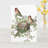 Vintage Vogels en Nest, Moederdag Kaart (Gele Bloem)