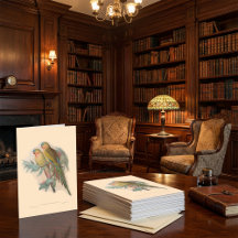 Vintage vogels, illustratie van tropische vogels