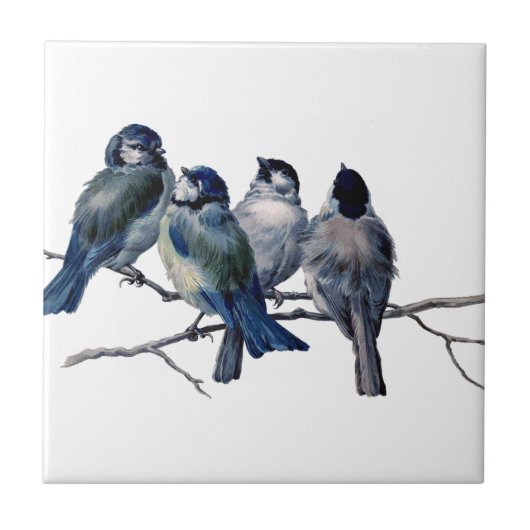 Vintage vogels op een tak tegeltje (Voorkant)