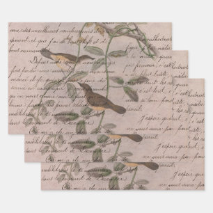 Vintage vogels op filialen met schrijven inpakpapier vel