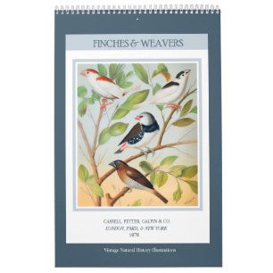 Vintage Vogels - Vinken en Wevers 2027 Kalender
