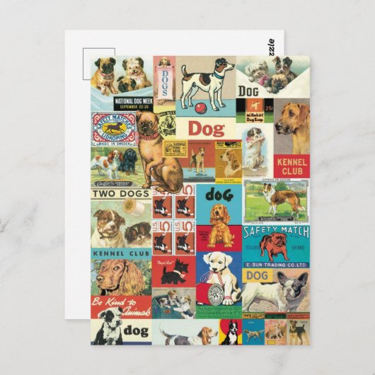 Vintage voor collage chiens briefkaart (Voorkant / Achterkant)