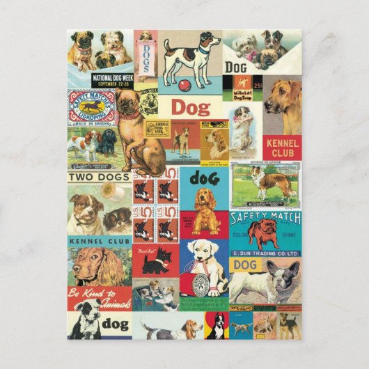 Vintage voor collage chiens briefkaart (Voorkant)