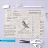 Vintage voor concert van Franse muziekopnames Tissuepapier (Craft)