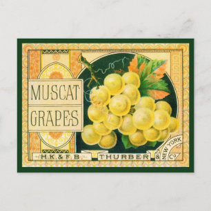 Vintage Vruchtenkratenlabel Art, Muscat Grapes Briefkaart
