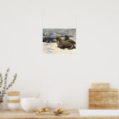 Vintage Walrussen door CE Swan Poster (Keuken)