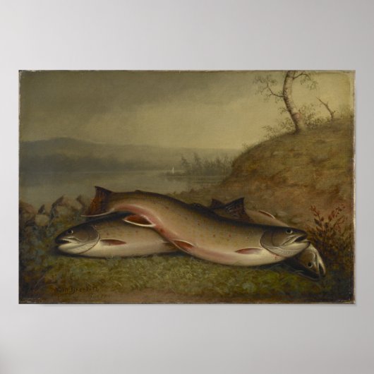 Vintage Walter Brackett Trout Poster (Voorkant)