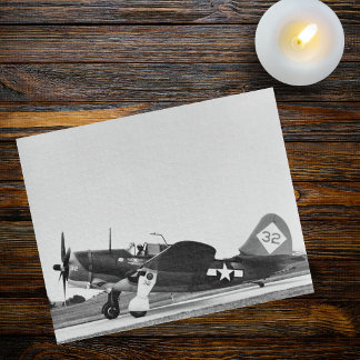 Vintage Warbird Vliegtuig WWII Gevechtsvliegtuig F Legpuzzel