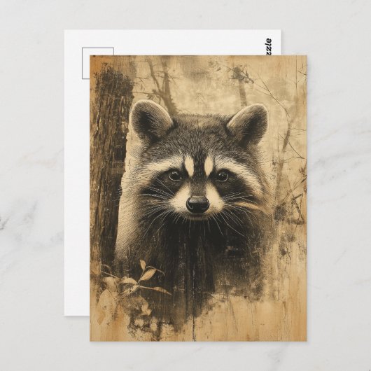 Vintage Waschbären Portrait Briefkaart (Voorkant / Achterkant)