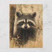 Vintage Waschbären Portrait Briefkaart (Voorkant)