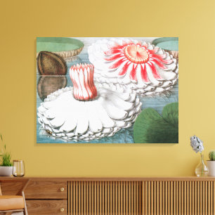 Vintage Waterlelie Bloemen, Waterlelies in een Vij Canvas Afdruk