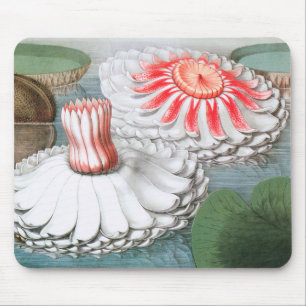 Vintage Waterlelie Bloemen, Waterlelies in een Vij Muismat