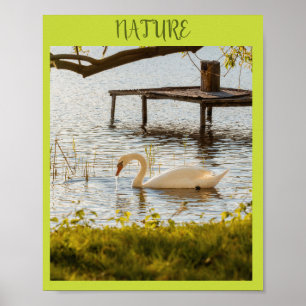 Vintage Waterverf Eend in Natuur Canvas Kunst Poster