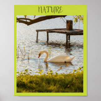 Vintage Waterverf Eend in Natuur Canvas Kunst Poster