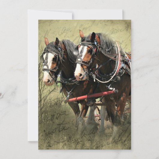Vintage Weathered Clydesdale Briefkaart (Voorkant)