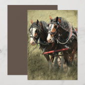 Vintage Weathered Clydesdale Briefkaart (Voorkant / Achterkant)