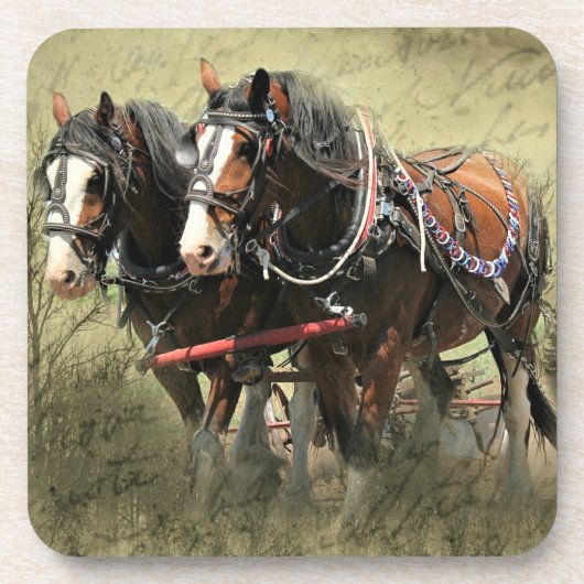Vintage Weathered Clydesdale Briefkaart Bier Onderzetter (Voorkant)