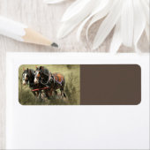 Vintage Weathered Clydesdale Briefkaart Etiket (Insitu)