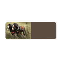 Vintage Weathered Clydesdale Briefkaart