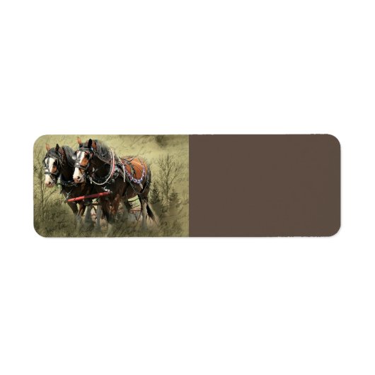 Vintage Weathered Clydesdale Briefkaart Etiket (Voorkant)