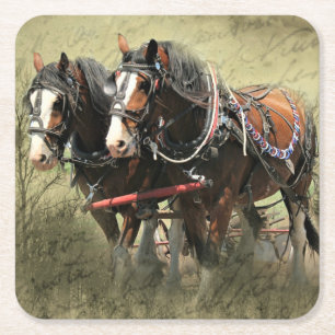 Vintage Weathered Clydesdale Briefkaart Kartonnen Onderzetters