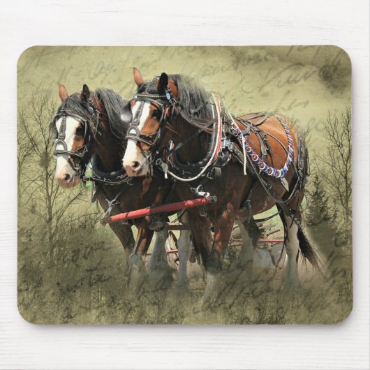 Vintage Weathered Clydesdale Briefkaart Muismat (Voorkant)