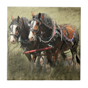 Vintage Weathered Clydesdale Briefkaart Tegeltje