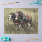 Vintage Weathered Clydesdale Briefkaart Tissuepapier (Craft)