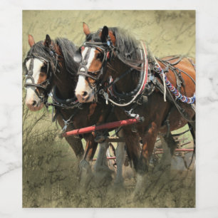 Vintage Weathered Clydesdale Briefkaart Wijn Etiket