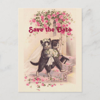Vintage Wedding Cats Save the Date Briefkaart
