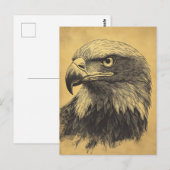 Vintage Weisskopfseeadler Portrait Raubvogel Briefkaart (Voorkant / Achterkant)