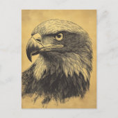 Vintage Weisskopfseeadler Portrait Raubvogel Briefkaart (Voorkant)