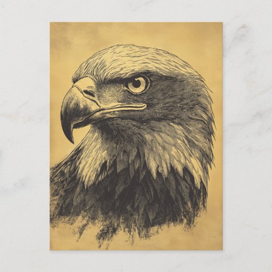 Vintage Weisskopfseeadler Portrait Raubvogel Briefkaart (Voorkant)