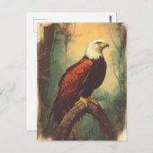 Vintage Weisskopfseeadler Postkarte Briefkaart (Voorkant / Achterkant)