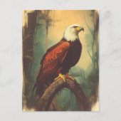 Vintage Weisskopfseeadler Postkarte Briefkaart (Voorkant)