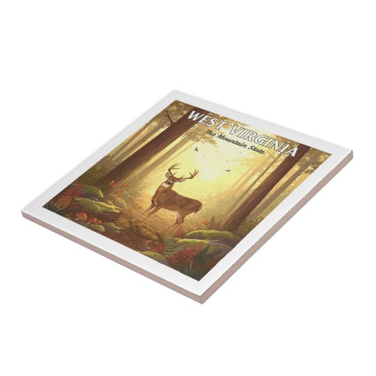 Vintage West Virginia Tegeltje (Zijkant)