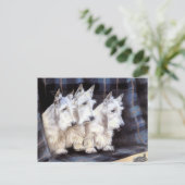 Vintage White Scottish Terriers Scotties Postcard Briefkaart (Staand voorkant)