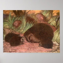 Vintage Wilde Dieren, Egels door Louis Sargent Poster