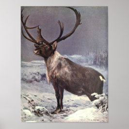 Vintage Wilde Dieren, Rendier Caribou door CE Swan Poster