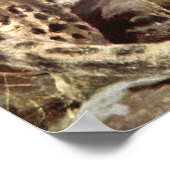 Vintage wilde dieren, sneeuwluipaard door CE Swan Poster (Hoek)