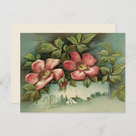 Vintage Wilde Rozen Briefkaart (Voorkant / Achterkant)